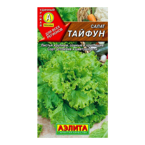 ������ ������ ������ ����� ������ �������� 0,5� (������) ����