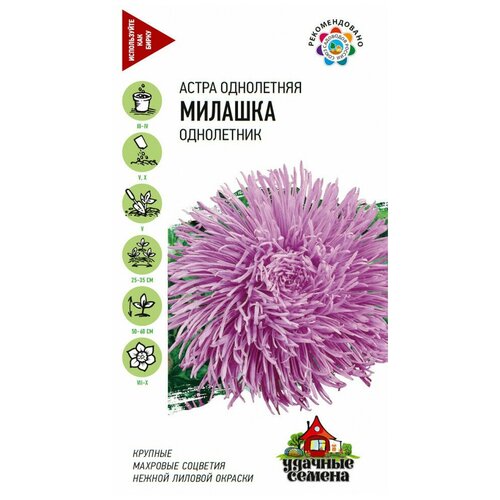 ������ ������ ������� ������ ����� �������, ���������� ���������� ������� 0,3 �� ����