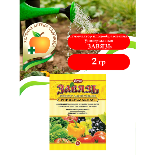 ������ ������ ���������� ���������������� ������ ������������� 2 ��. ����