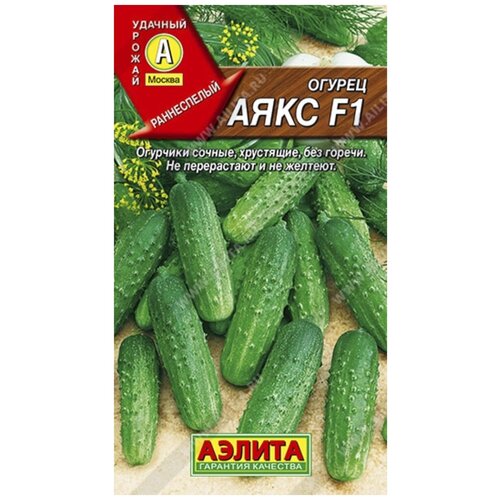 ������ ������ ������. ������ 