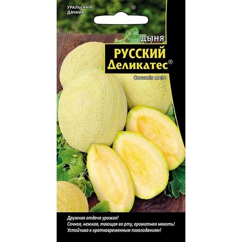 ������ ������ ������ ���� ������� ��������� 10�� ��������� ������ ����