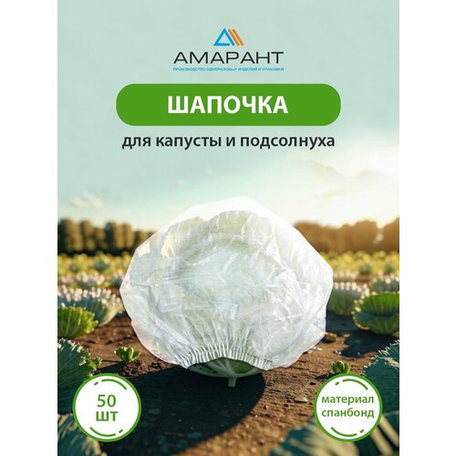 ������ ������ ������� ������� ��� ������� � ����������, ����� 50 �� ����