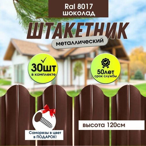 ������ ������ �������� ������� ��� ���� ���������� 120�� ����