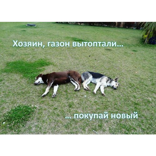 ������ ������ ����� ������� ������ 10 �� � ����� ����