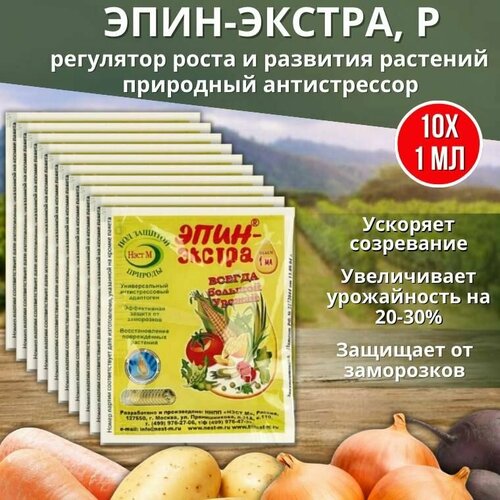 ������ ������ ����-������ ��������� ����� � �������� ��������, ��������� ������������ 1 ��, 10 �� ����