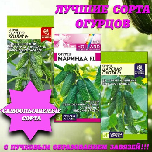 ������ ������ ������ ����� ������������� �������� �������. ������ ����� ����