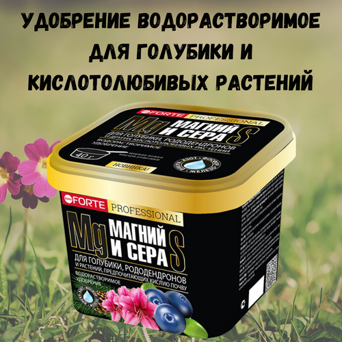 ������ ������ ��������� ��������������� ��� �������� Bona Forte � ����� � �������, 1 � ����