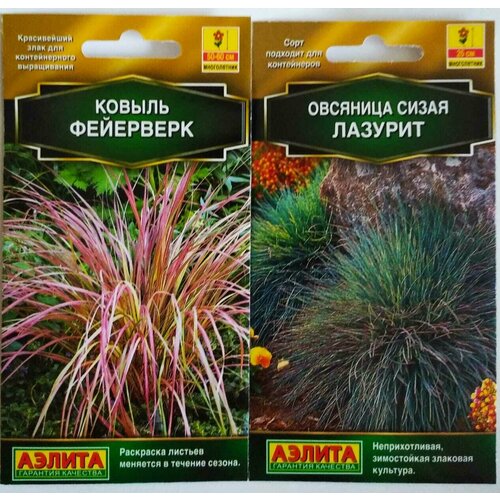 ������ ������ ������ ������������ ������: �������� ����� ������� � ������ ��������� ����