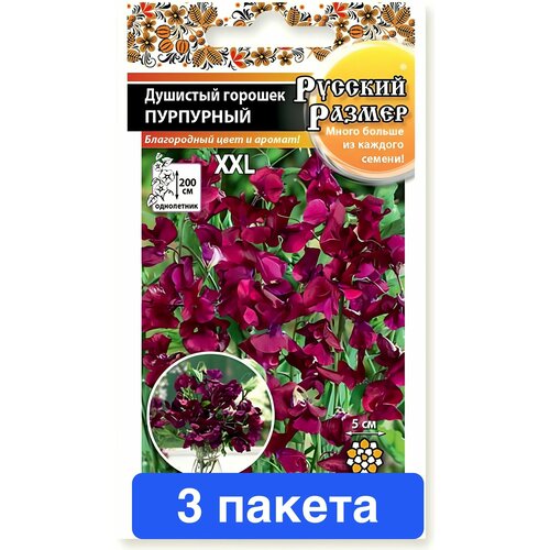 ������ ������ ����� �������� ������� ������� ������ 3 ������ ����