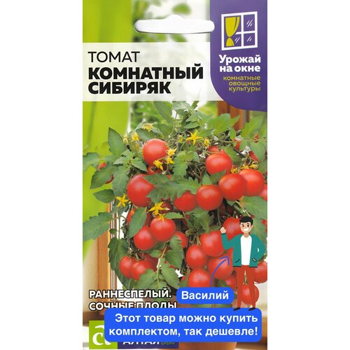 ������ ������ ������ ������ ������ ����� 