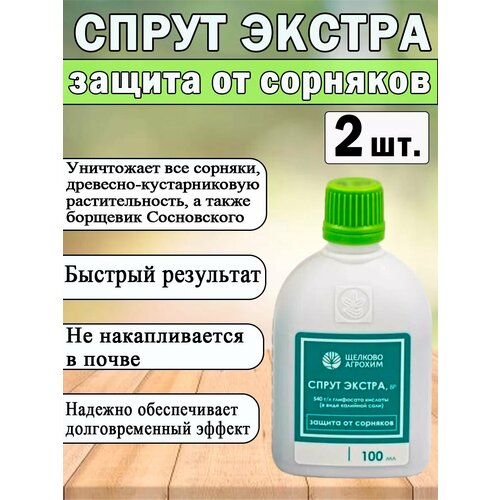 ������ ������ ��������� ����� ������ 100��. /�������� �� �������� / ����