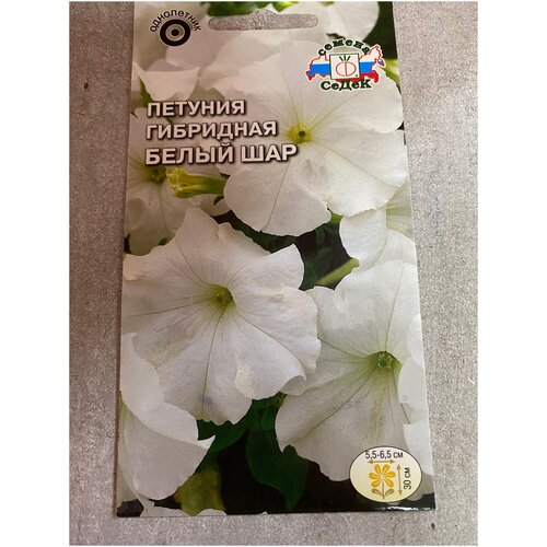 ������ ������ ������� ��������� ����� ��� ����