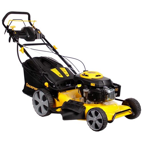 ������ ������ ���������� ������������� CHAMPION LM5346E, 6 �.�., 52.5 �� ����