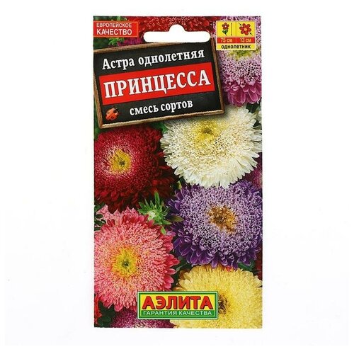 ������ ������ ����� 