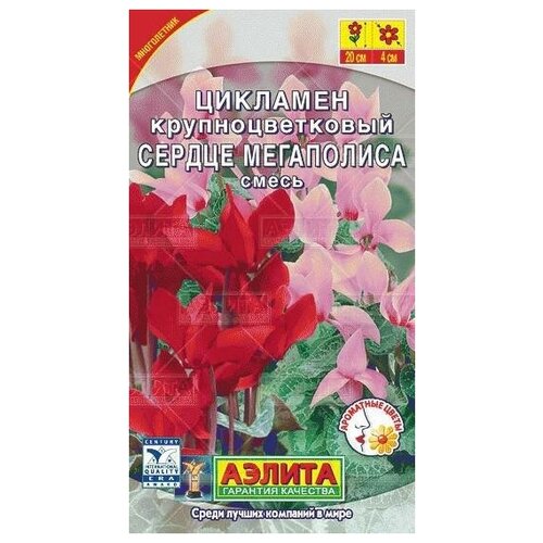 ������ ������ ������. �������� ���������� 