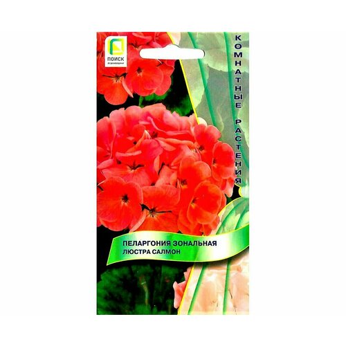 ������ ������ ������ ���������� ������ ������ F1 5�� ����� ����