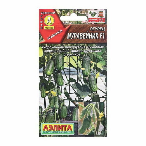 ������ ������ ������ ������ ���������� F1 ���� �/� 10�� ����