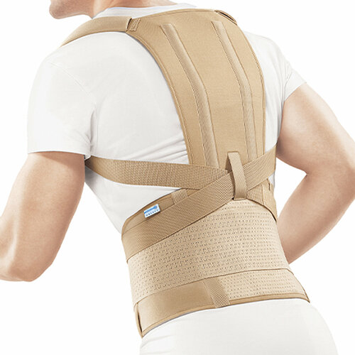 ������ ������ ������ ��������������� Orlett TLSO-251(F) 2G, ������ - xl, ������� ����