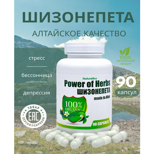 ������ ������ ���������� ����