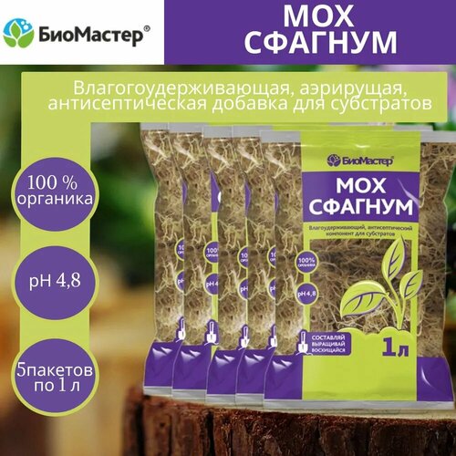 ������ ������ �������� ��� �������, 5 ������� �� 1 � ����