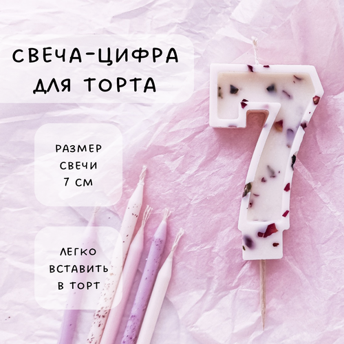 ������ ������ ����� ��� ����� ����� 7, ������ ������, 1�� ����