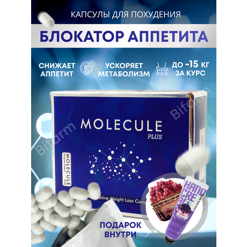 ������ ������ �������� �������� ��� ��������� ����