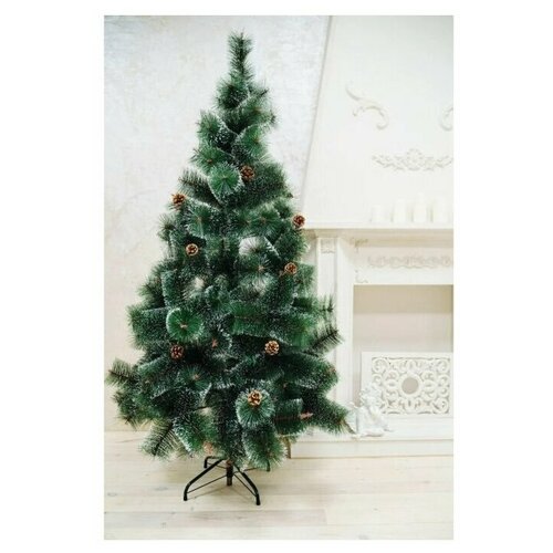 ������ ������ ���� ������������� � ������� � �����, 150 �� ����