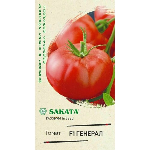 ������ ������ ����� ������� F1 / ������ / 5 ���� ����� ����