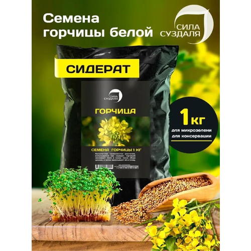 ������ ������ ������� ������ ���� ������� / ������� / ������� ������������ ���������, 1 �� ����