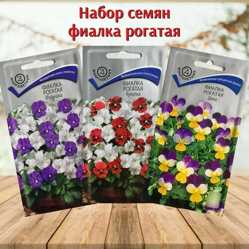 ������ ������ ����� ������ ������ ��� ���� � ���� ������ ������� 3 �������� ����