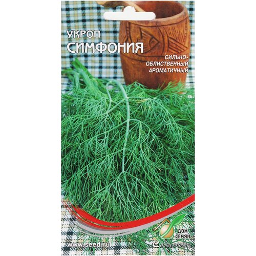 ������ ������ ����� ��������, 1200 ����� ����