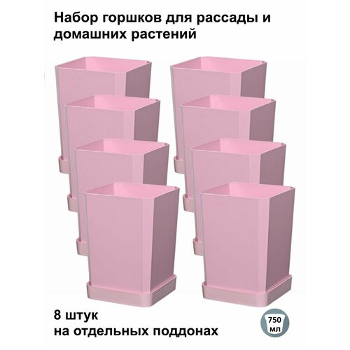 ������ ������ ������ ��� ������� � ������, 8 ���� �� ��������� ��������, ������� ���� ����