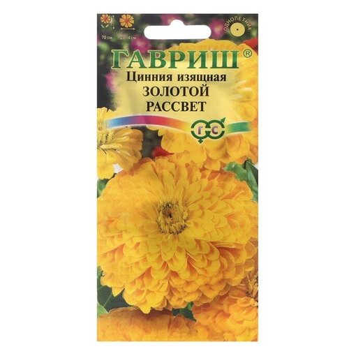 ������ ������ ������. ������ 