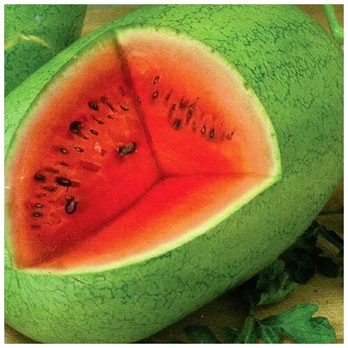 ������ ������ ������ ������ ������� ������ 1 �� ����� ����� ����