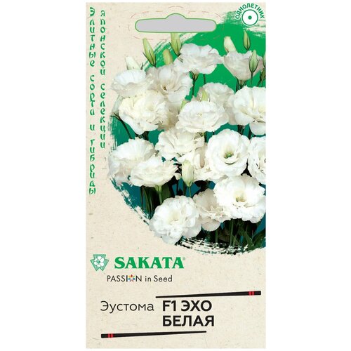 ������ ������ ������� ��� ����� F1 ������. ��������, ������ ����