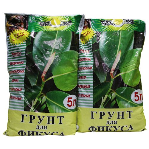 ������ ������ ����� ���� ��� ������� 5 �, �������� 2 ����� ����