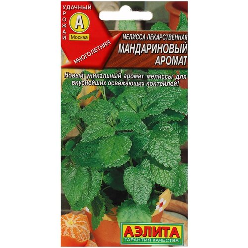 ������ ������ ������. ������� 