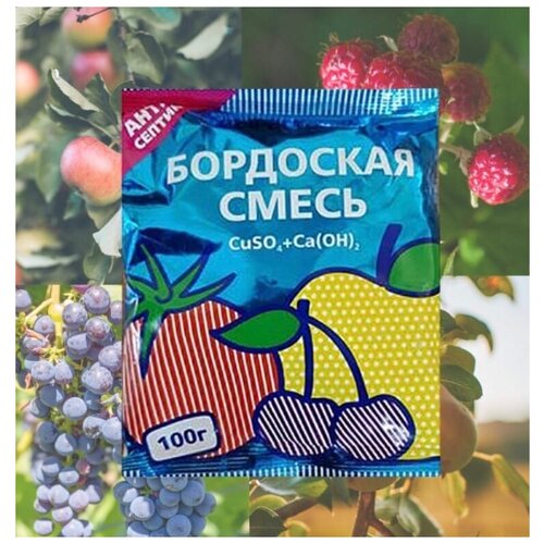 ������ ������ �������� ������ �������� �� ��������� ����������� ��������� ����� ��� ������������� ��������� �������� ��� ������� ��������� ���� , 100� ����