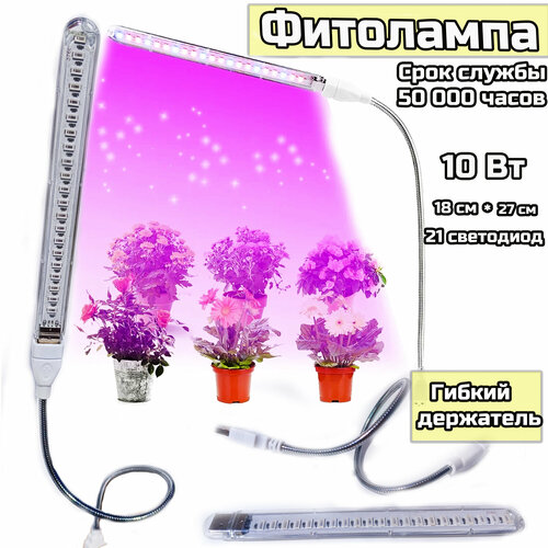 ������ ������ ��������� ��� ��������. ��������� ������� �������. ��������� ��� �������. 10 � ����