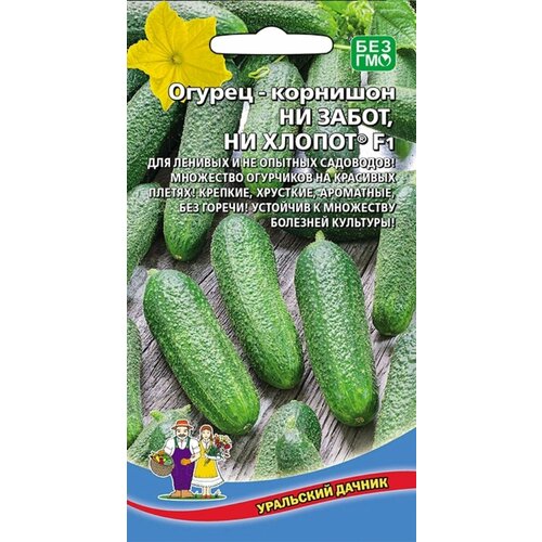 ������ ������ ������ ������ �� ����� �� ������ F1 10�� �� ������ (��������� ������) ����