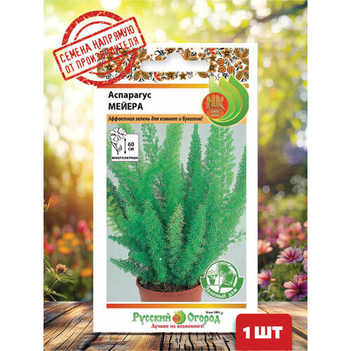 ������ ������ ������ ��������� ������ ����