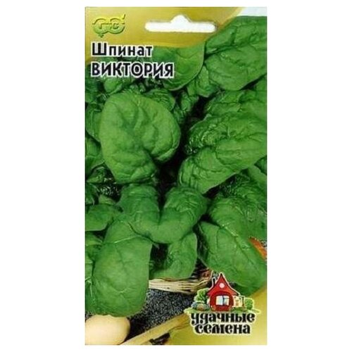 ������ ������ ������. ������ 