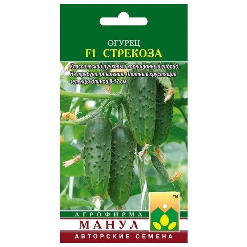 ������ ������ ������ F1 �������� 10 �� ����� ����