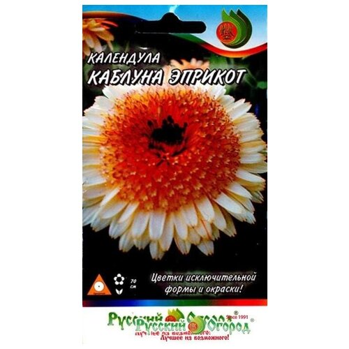 ������ ������ ������. �����. ��������� 