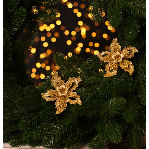 ������ ������ �������������� ��������� ����� 7 �� (�������� 4 ��) ������ ����