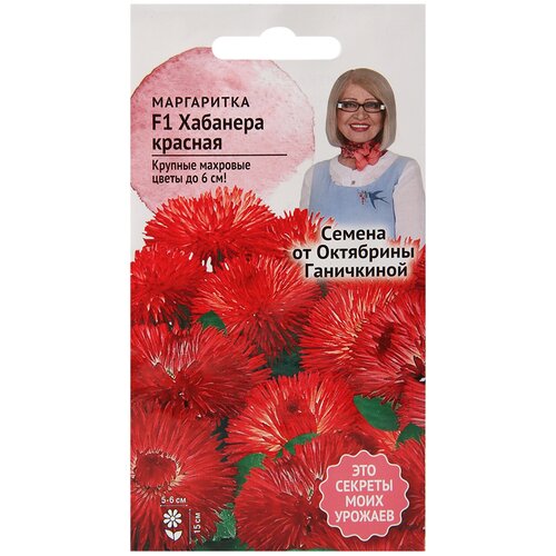 ������ ������ ���������� F1 �������� ������� 5 ��, ������ ����������� ������ ����