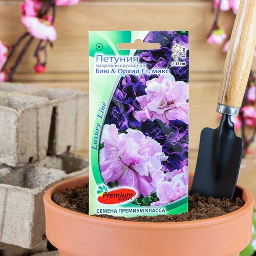 ������ ������ ������ ������ ������� �������� ��������� ���&����� F1, �����, �, 10�� (1��.) ����