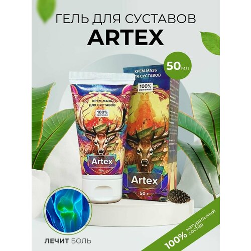 ������ ������ ������ ���� ��� �������� � ���� ����