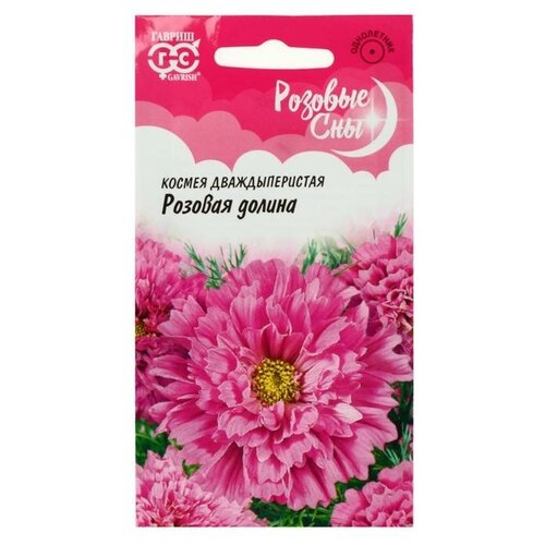 ������ ������ ������. ������ �������� 