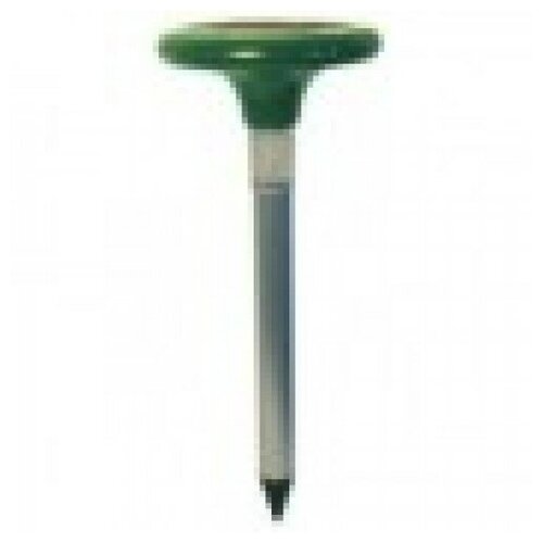 ������ ������ ������������ ������, �����, ���� ���� 49 ����